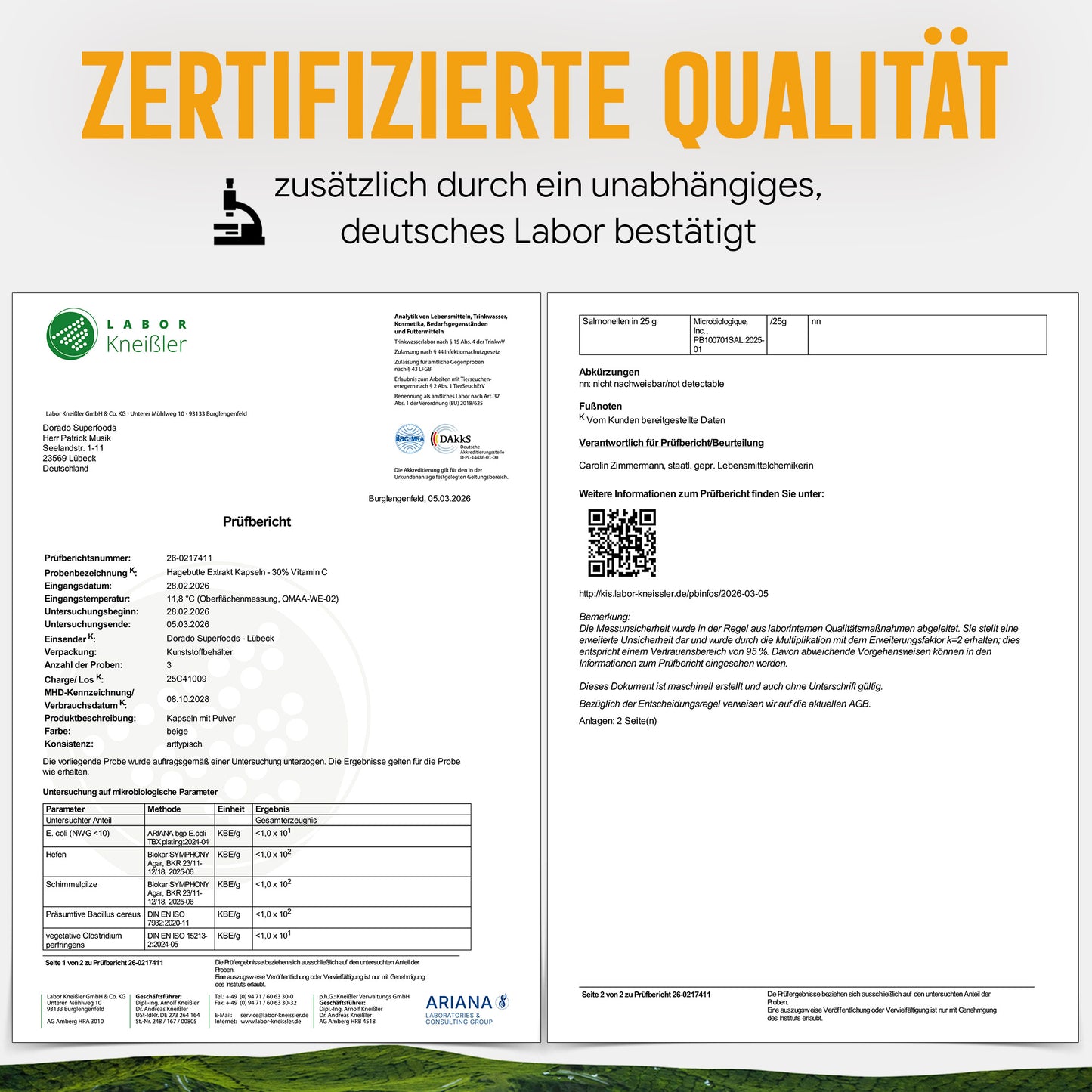 Hagebutte Extrakt Kapseln – 440 mg Frucht – 30% Vitamin C | 120 Stück – 2 Monatsvorrat
