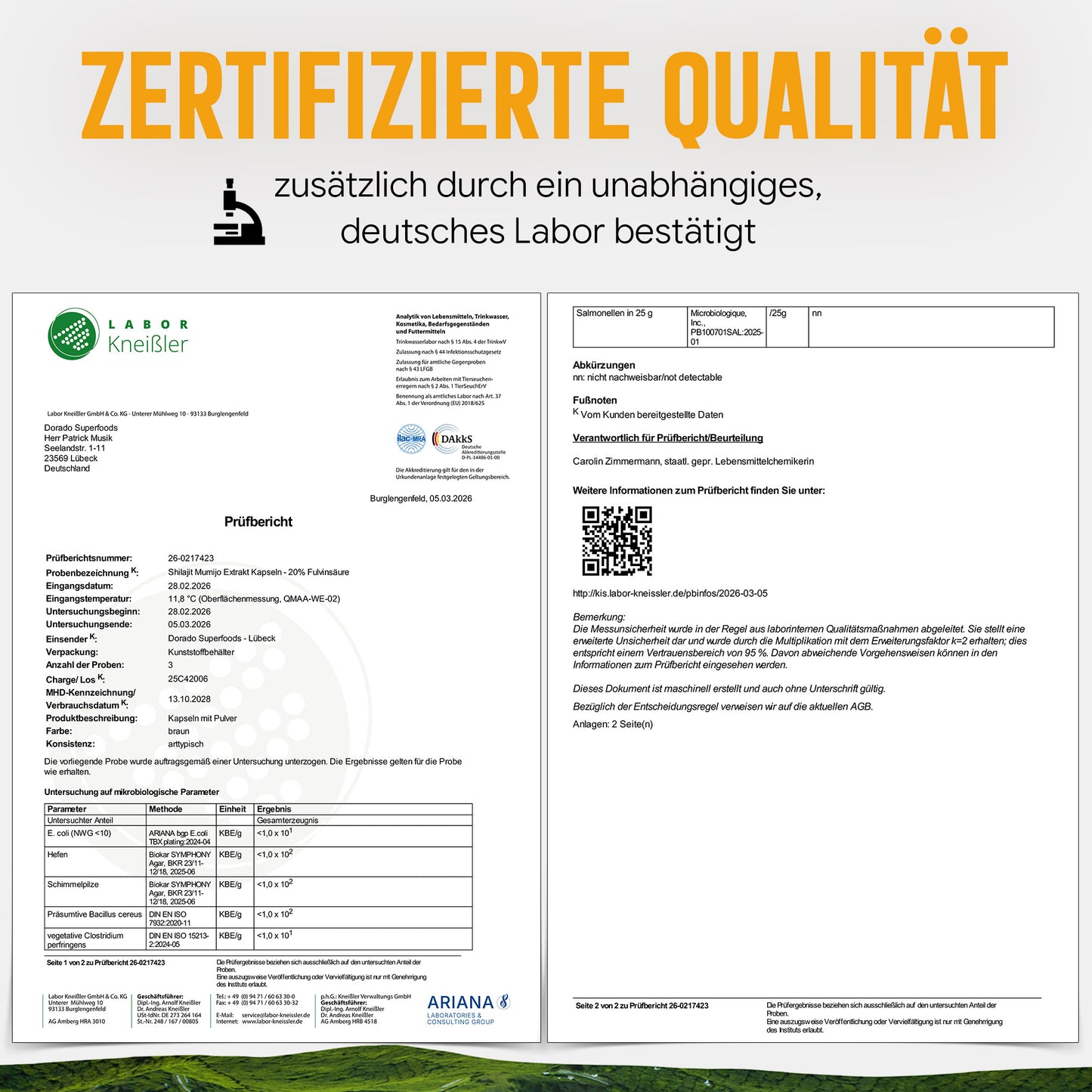 Shilajit Mumijo Extrakt Kapseln – 500 mg – 20% Fulvinsäure | 120 Stück – 4 Monatsvorrat