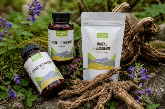 Baikal-Helmkraut: Wurzel, Baicalin, Kapseln, Pulver und Tee