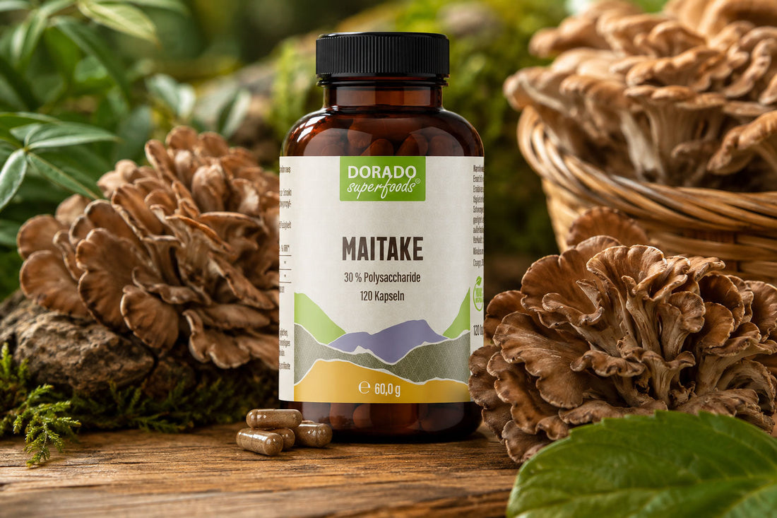Maitake Extrakt Kapseln 30:1, Fruchtkörper und 30 % Polysaccharide