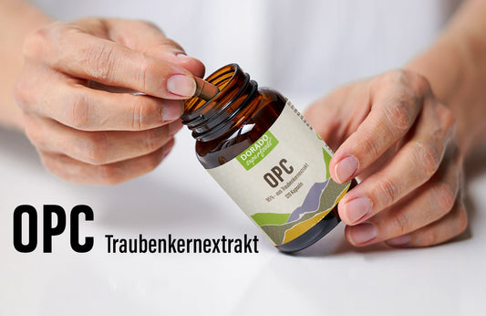 OPC Traubenkernextrakt: Herkunft und Extraktionsverfahren