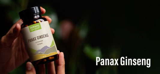 Panax Ginseng: Herkunft, Tradition &amp; Extraktionsverfahren