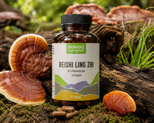 Reishi Extrakt Kapseln  30:1, Fruchtkörper und Polysaccharide