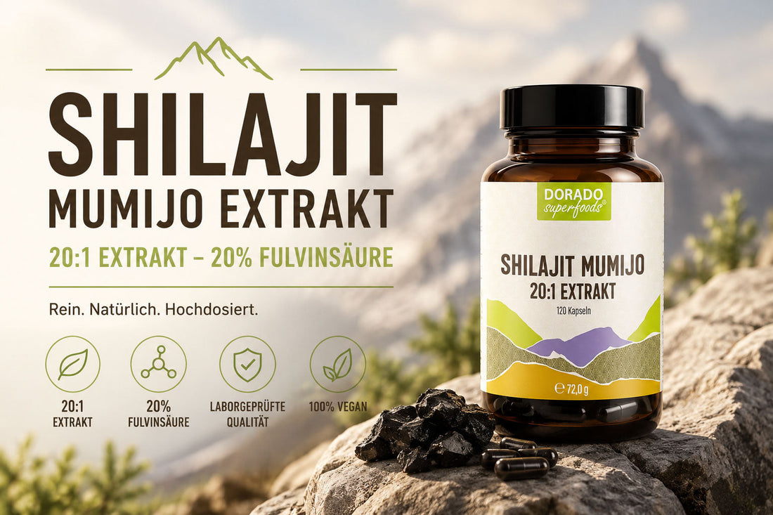 Shilajit Mumijo Kapseln: Worauf es bei Qualität und Inhaltsstoffen ankommt
