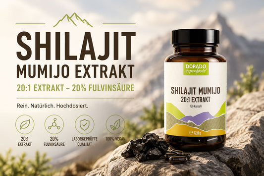 Shilajit Mumijo Kapseln: Worauf es bei Qualität und Inhaltsstoffen ankommt