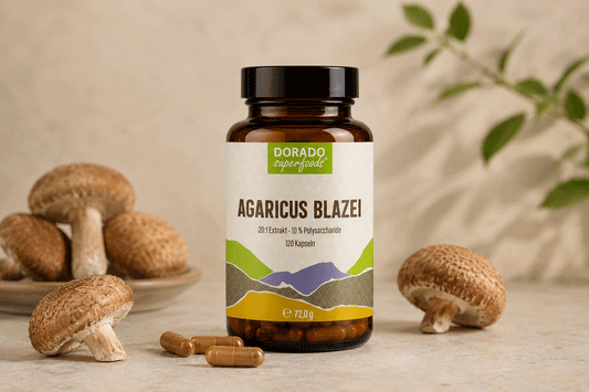 Agaricus Blazei Extrakt Kapseln: 20:1 Extrakt und 10 % Polysaccharide erklärt