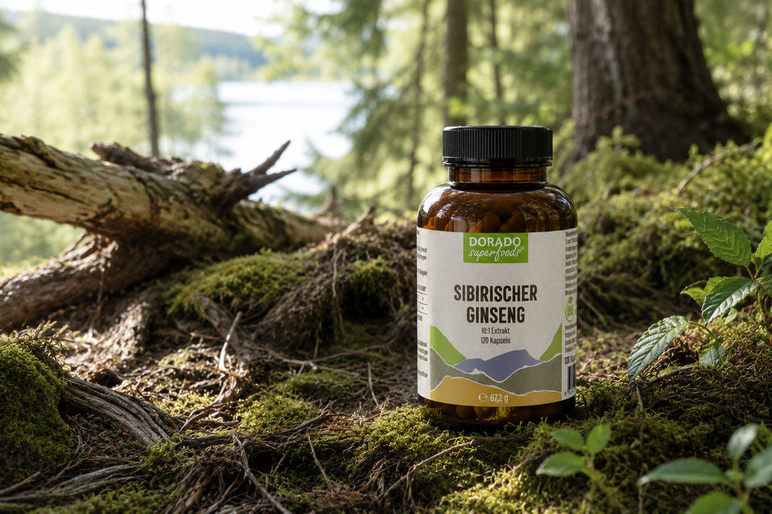 Sibirischer Ginseng: Was bedeuten 30:1 Extrakt und Eleutheroside?