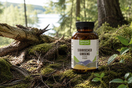 Sibirischer Ginseng: Was bedeuten 30:1 Extrakt und Eleutheroside?