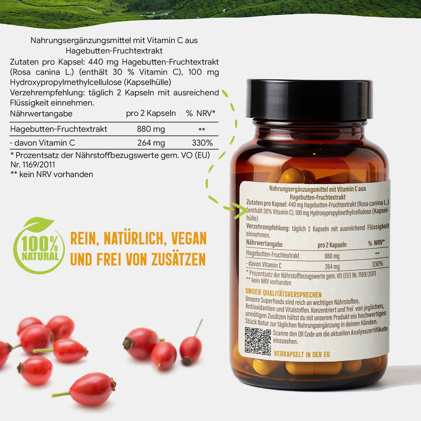 Hagebutte Extrakt Kapseln –  440 mg Frucht  – 30% Vitamin C | 120 Stück – 2 Monatsvorrat