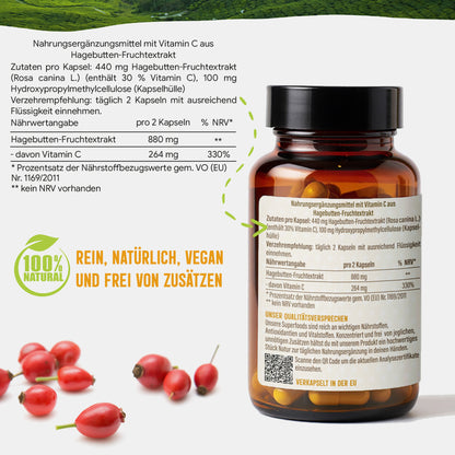 Hagebutte Extrakt Kapseln –  440 mg Frucht  – 30% Vitamin C | 120 Stück – 2 Monatsvorrat