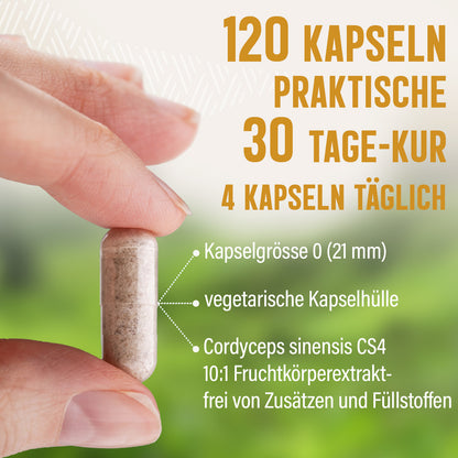 Cordyceps Extrakt Kapseln - 120 Stück, 1640 mg Tagesportion