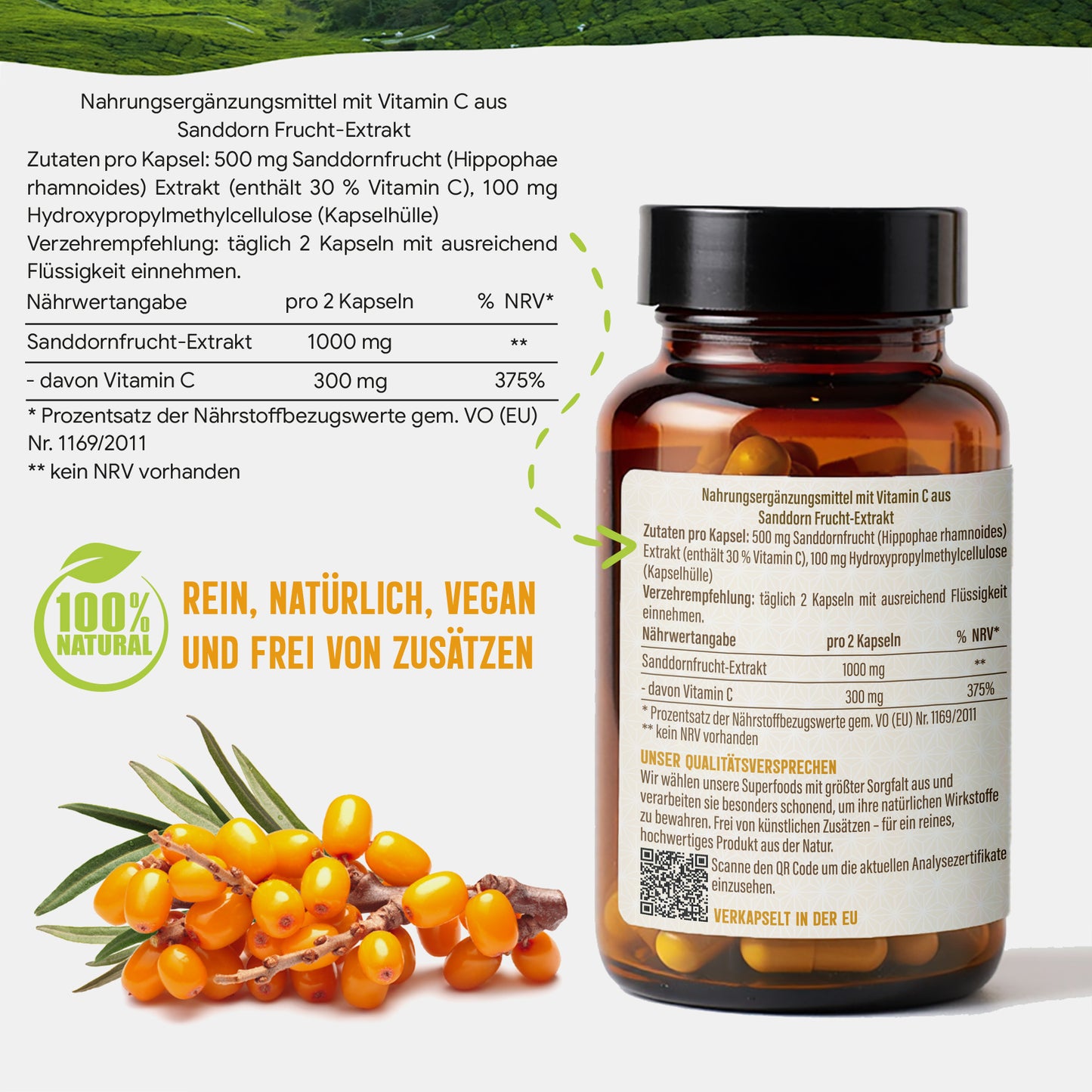 Sanddorn Extrakt Kapseln –  500 mg Frucht  – 30% Vitamin C | 120 Stück – 2 Monatsvorrat