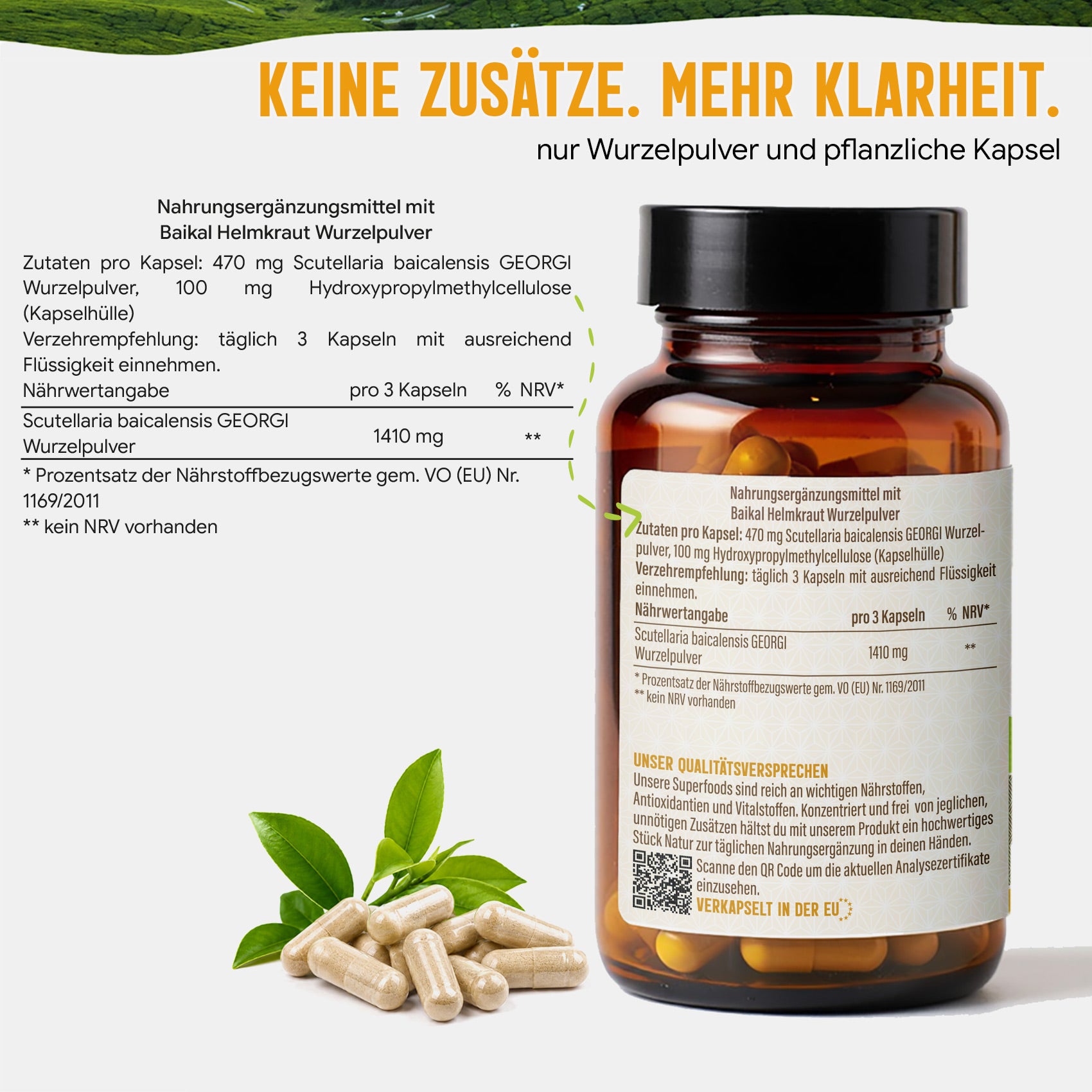 Baikal Helmkraut Kapseln | 470mg mit Baicalin | Scutellaria baicalensis | 120 vegane Kapseln