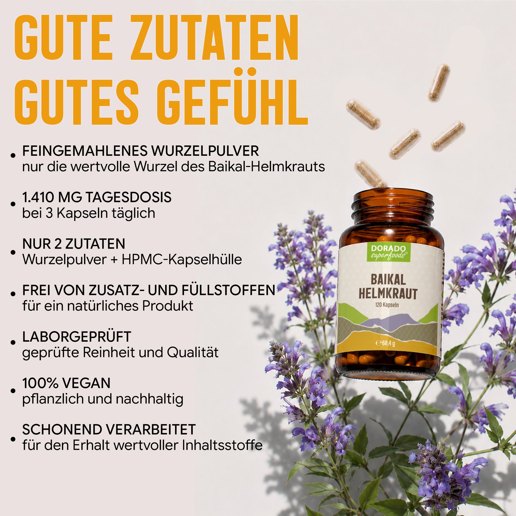Baikal Helmkraut Kapseln | 470mg mit Baicalin | Scutellaria baicalensis | 120 vegane Kapseln