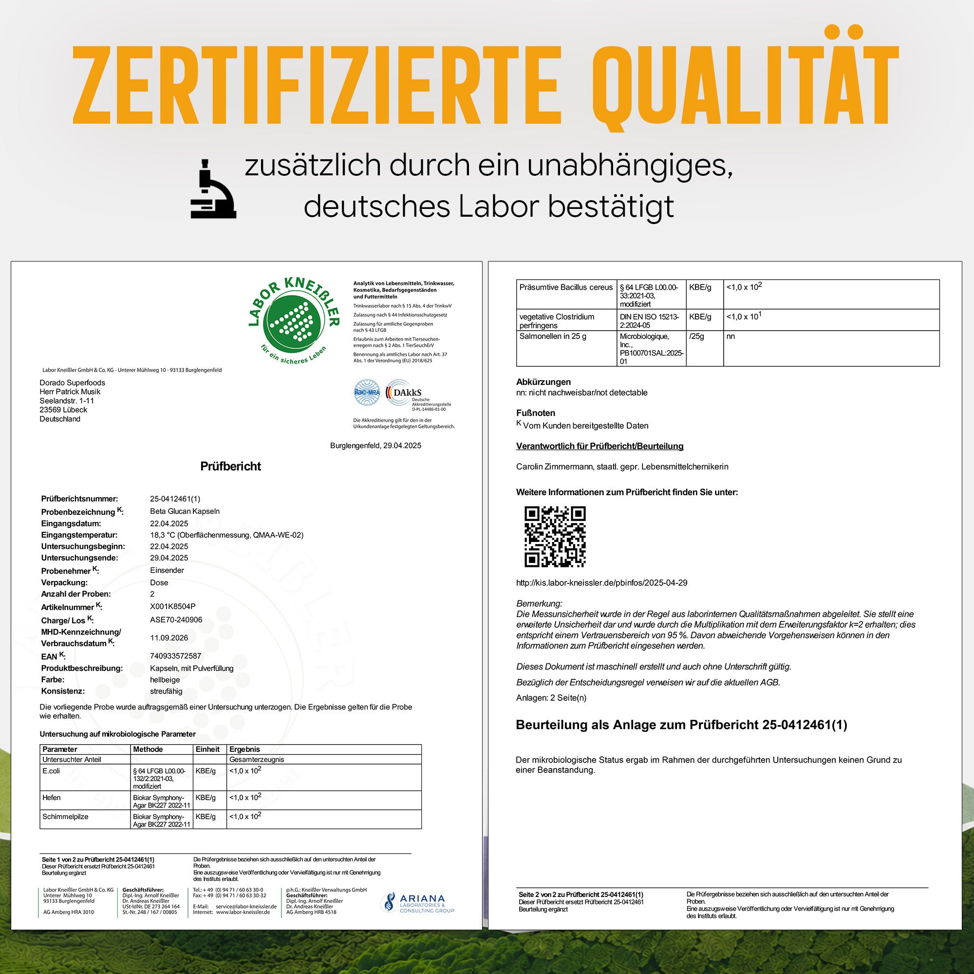 Beta Glucan Kapseln hochdosiert | 440mg | 40:1 Extrakt | 70% Beta-Glucane | 120 vegane Kapseln