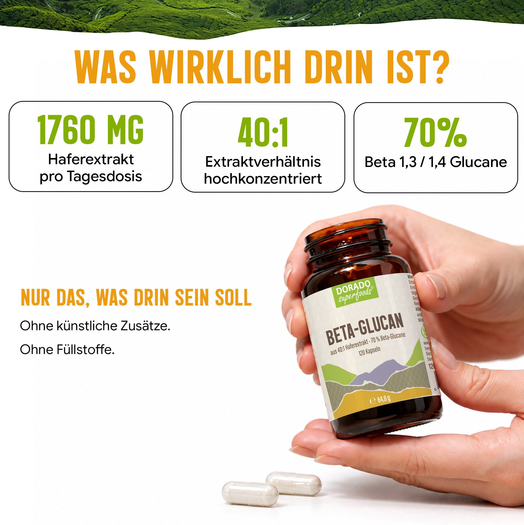 Beta Glucan Kapseln hochdosiert | 440mg | 40:1 Extrakt | 70% Beta-Glucane | 120 vegane Kapseln