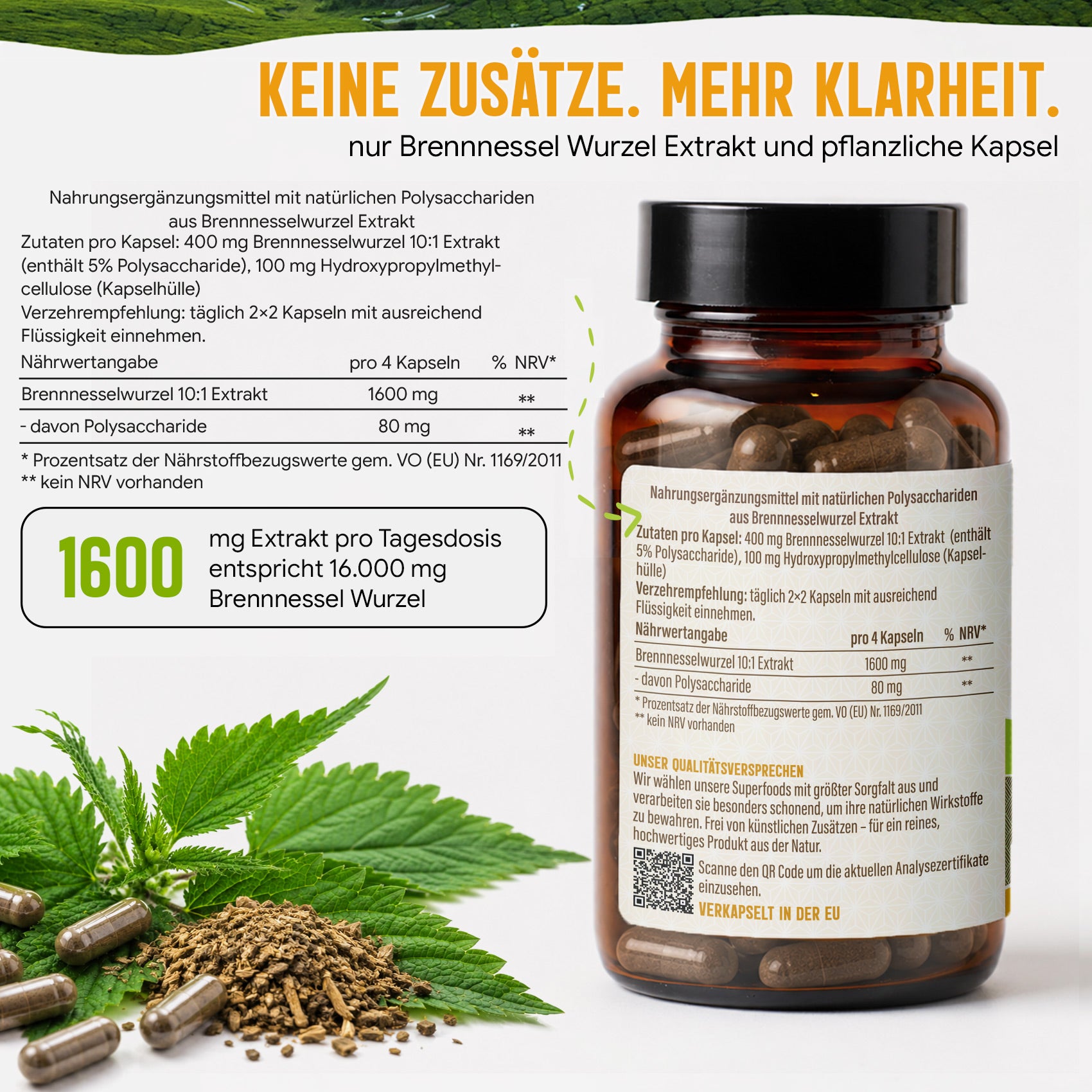 Brennnesselwurzel Kapseln hochdosiert | 400mg | 10:1 Extrakt | 120 vegane Kapseln