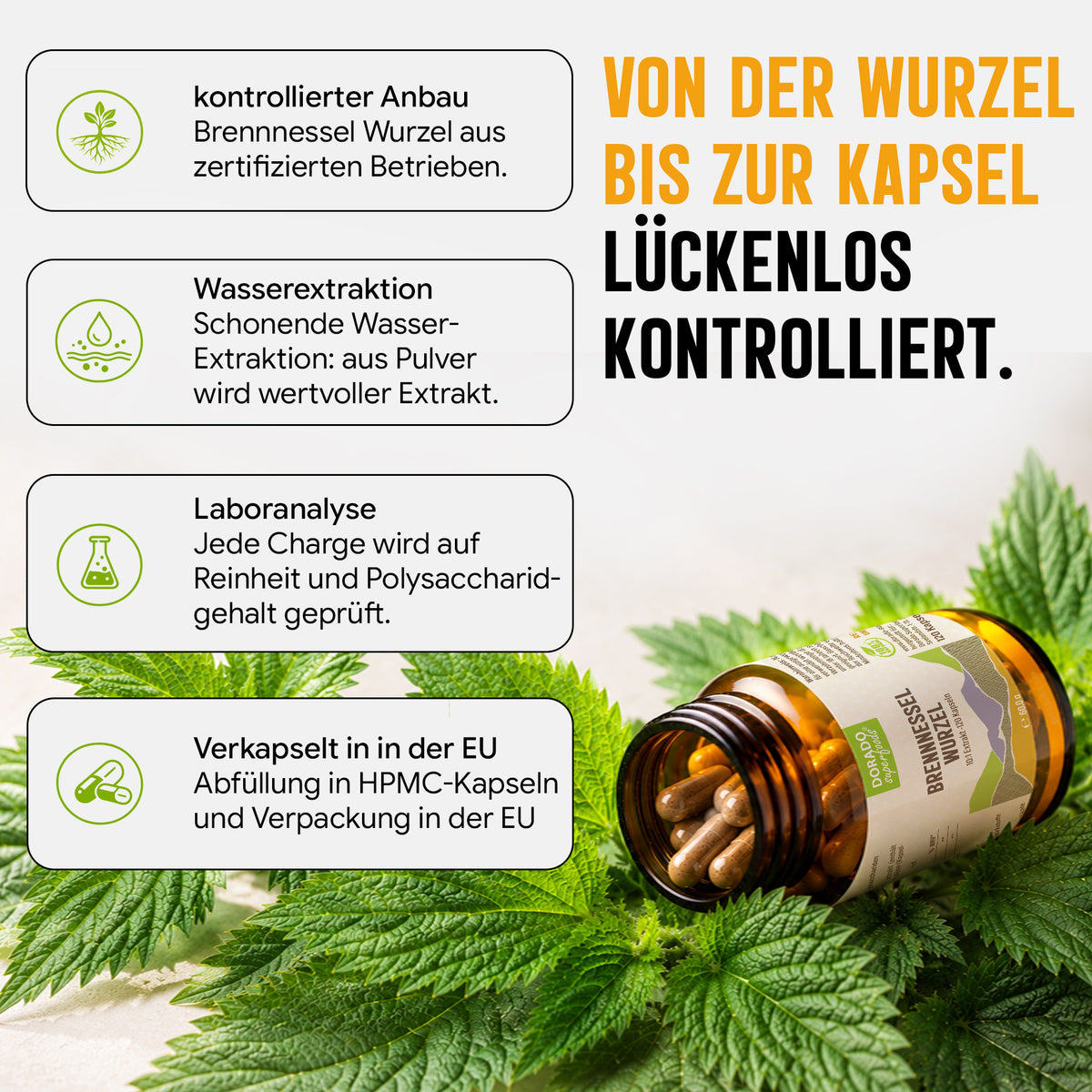 Brennnesselwurzel Kapseln hochdosiert | 400mg | 10:1 Extrakt | 120 vegane Kapseln