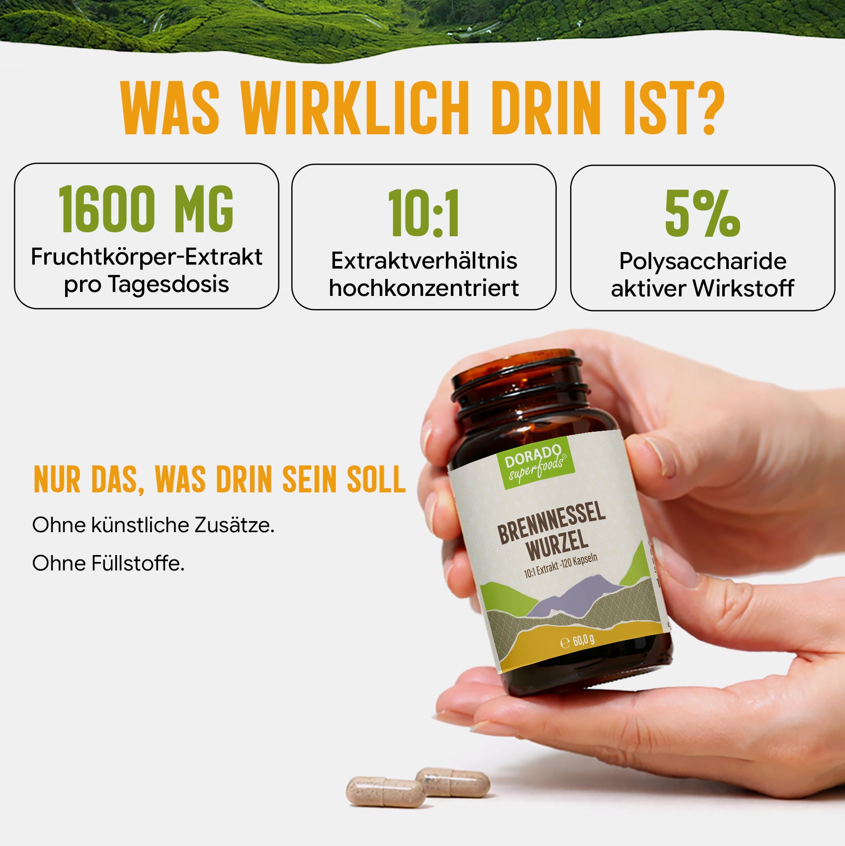 Brennnesselwurzel Kapseln hochdosiert | 400mg | 10:1 Extrakt | 120 vegane Kapseln