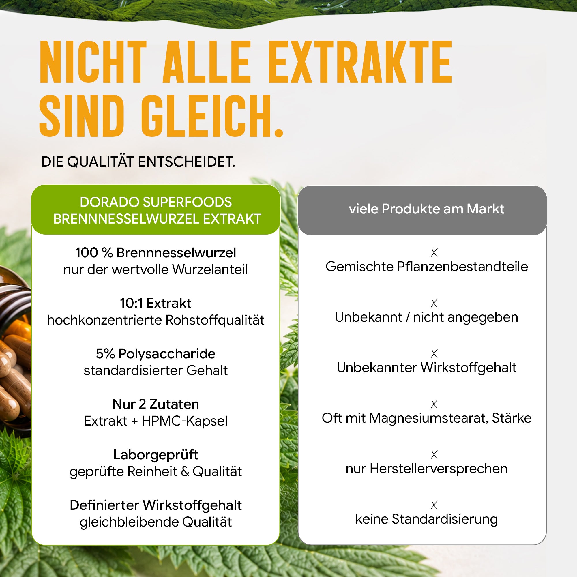Brennnesselwurzel Kapseln hochdosiert | 400mg | 10:1 Extrakt | 120 vegane Kapseln