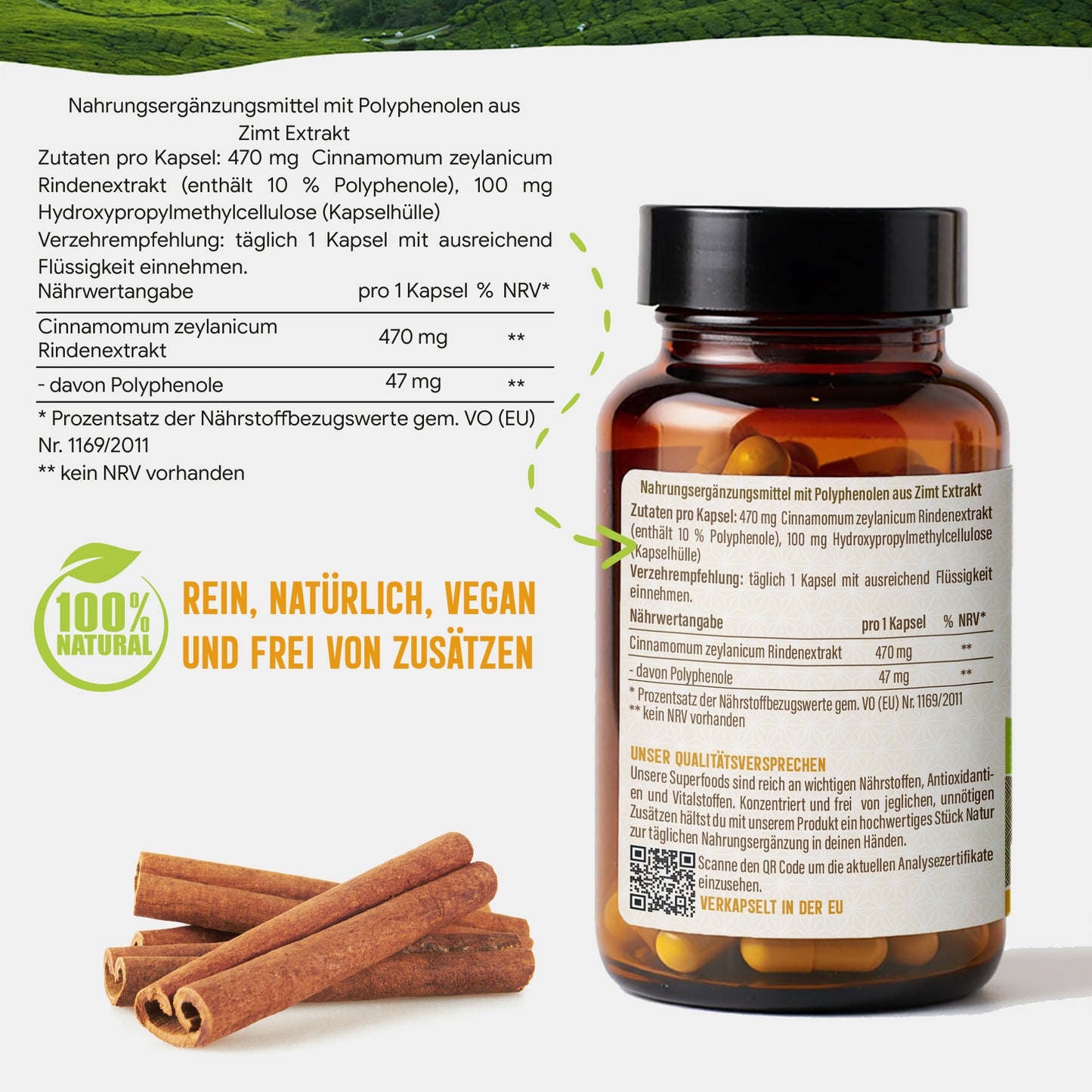Ceylon Zimt Kapseln – 470 mg Rindenextrakt | 10 % Polyphenole – 120 Stück 4-Monatsvorrat