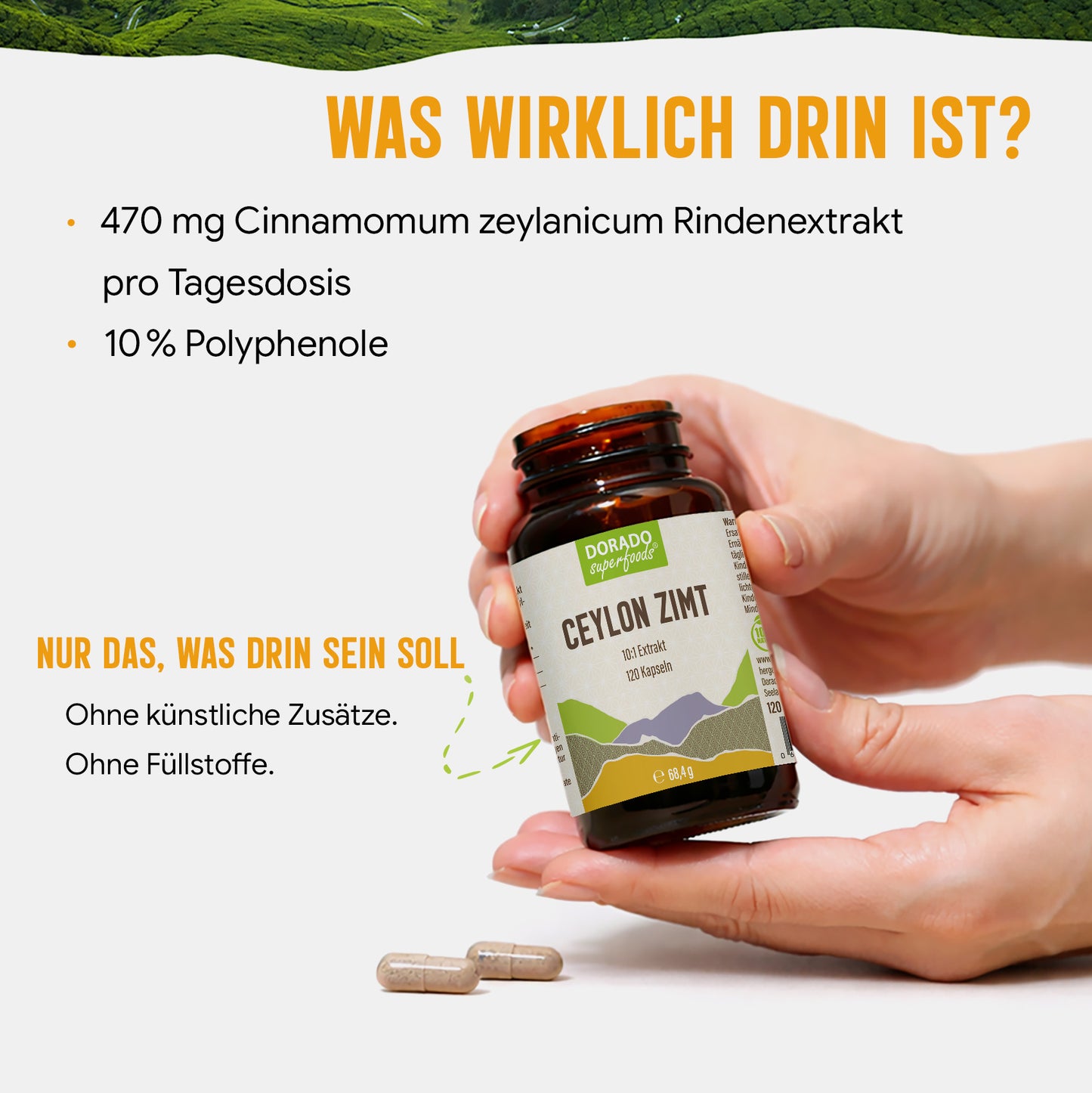 Ceylon Zimt Kapseln – 470 mg Rindenextrakt | 10 % Polyphenole – 120 Stück 4-Monatsvorrat