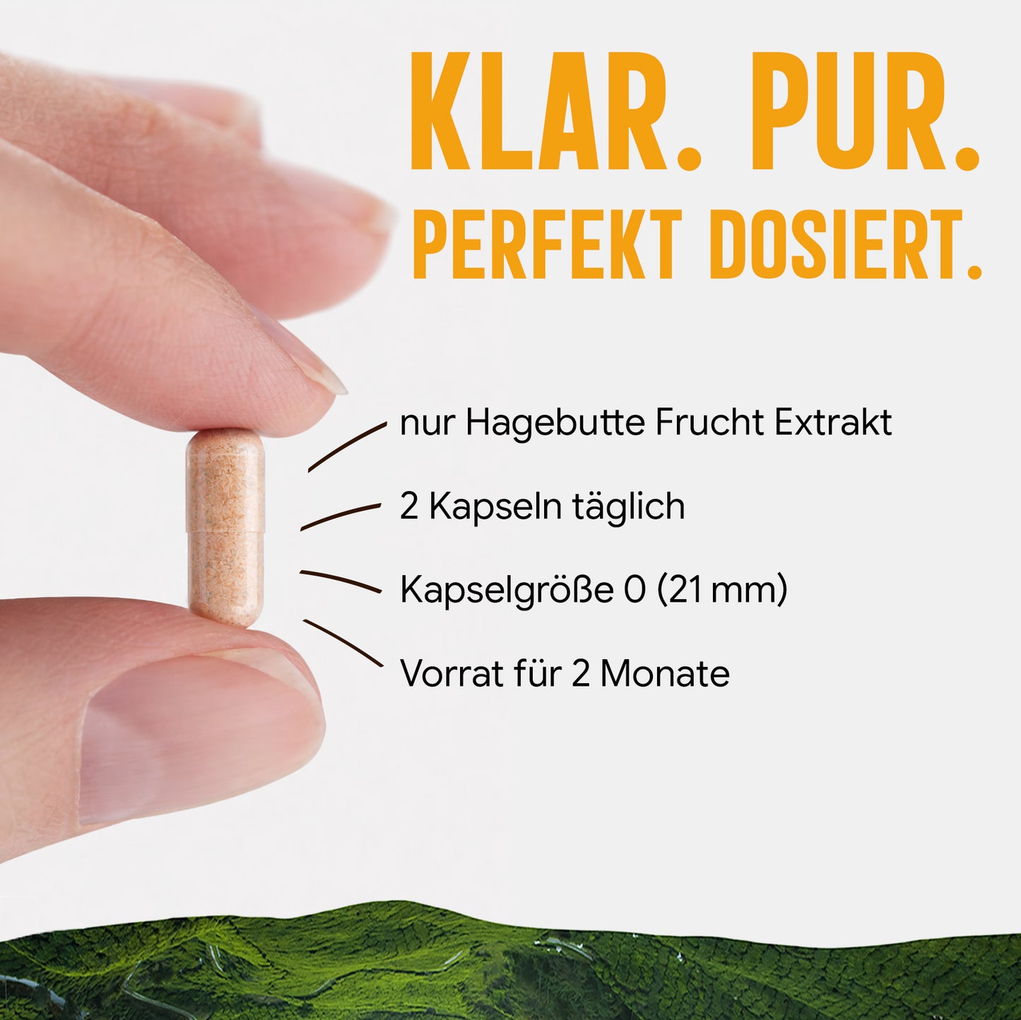 Hagebutte Extrakt Kapseln –  440 mg Frucht  – 30% Vitamin C | 120 Stück – 2 Monatsvorrat