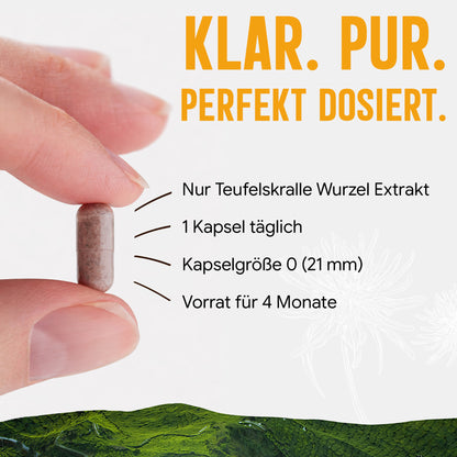 Teufelskralle Extrakt Kapseln - 490 mg | 5% Harpagoside - 4 Monatsvorrat
