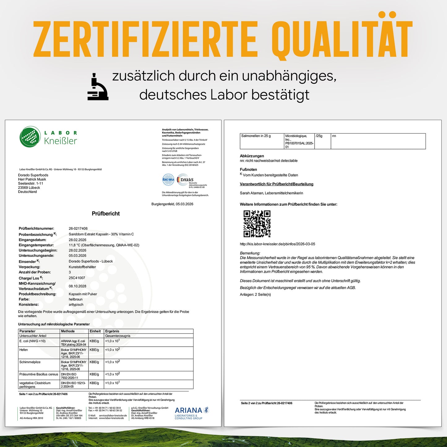 Sanddorn Extrakt Kapseln –  500 mg Frucht  – 30% Vitamin C | 120 Stück – 2 Monatsvorrat