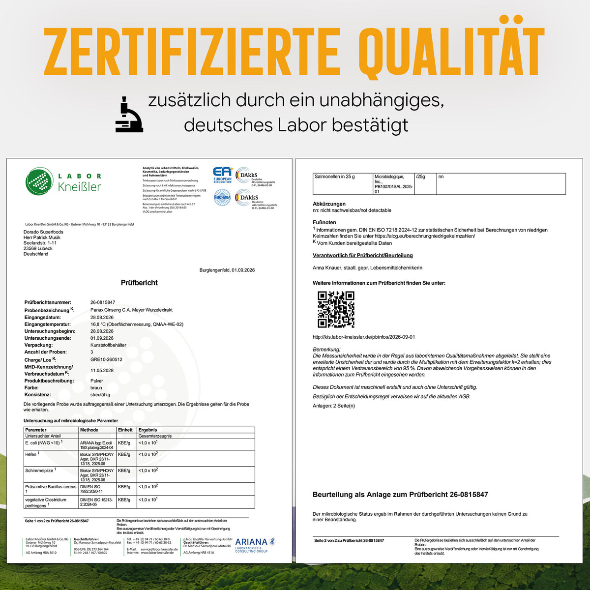 Panax Ginseng Extrakt Pulver | 10:1 hochkonzentriert | 10% Ginsenoside | 100g | ohne Zusatzstoffe