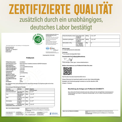 Baikal Helmkraut Kapseln – 120 Stück, 1410 mg Tagesportion