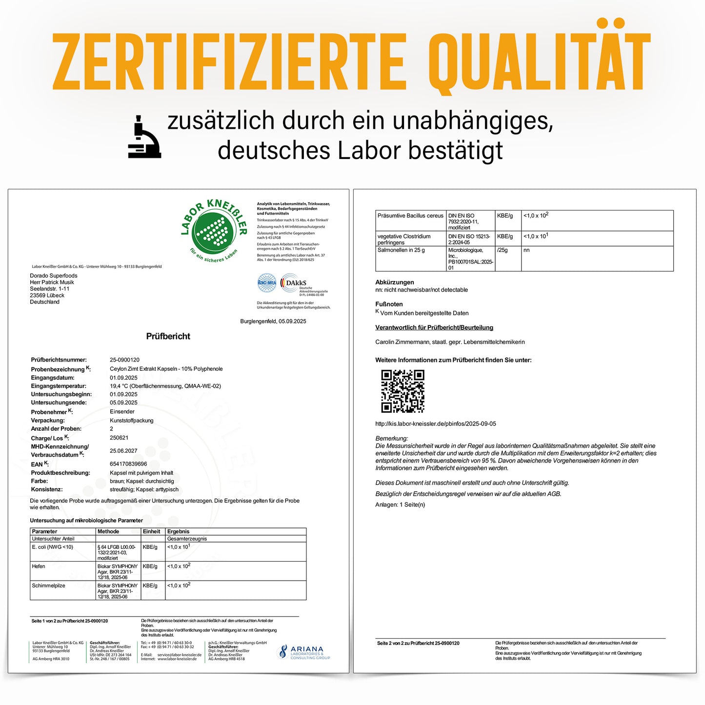 Ceylon Zimt Kapseln – 470 mg Rindenextrakt | 10 % Polyphenole – 120 Stück 4-Monatsvorrat