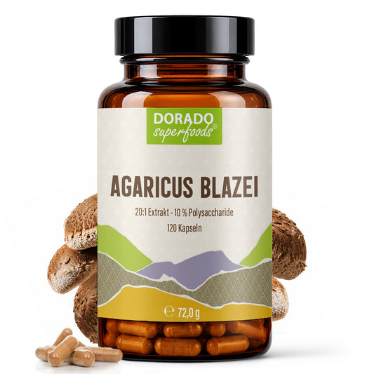 Agaricus Blazei Extrakt Kapseln hochdosiert | 500mg | 20:1 Extrakt | 120 vegane Kapseln | Vitalpilz