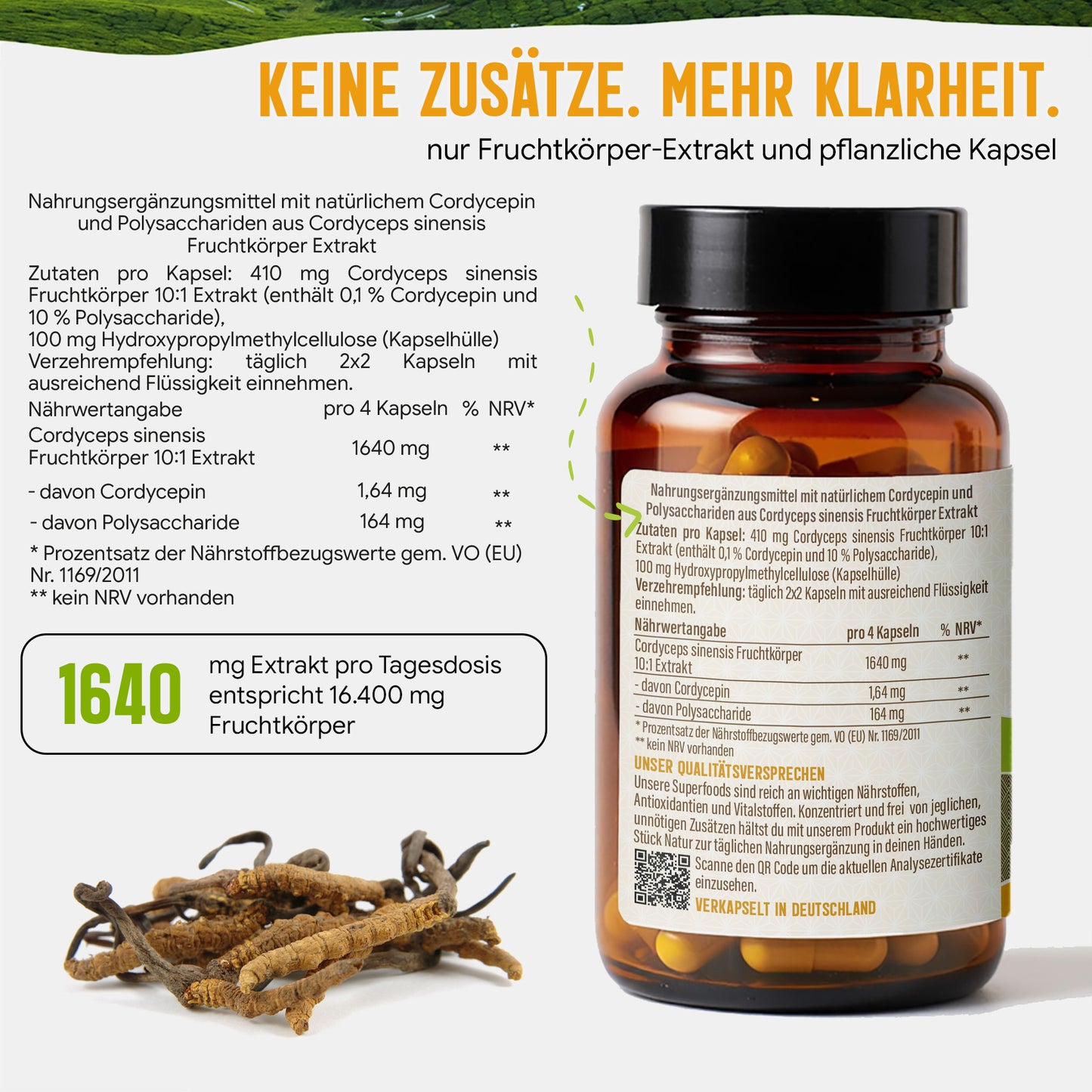 Cordyceps Pilz Kapseln hochdosiert | 410mg Extrakt | 10% Polysaccharide | 120 vegane Kapseln | Vitalpilz
