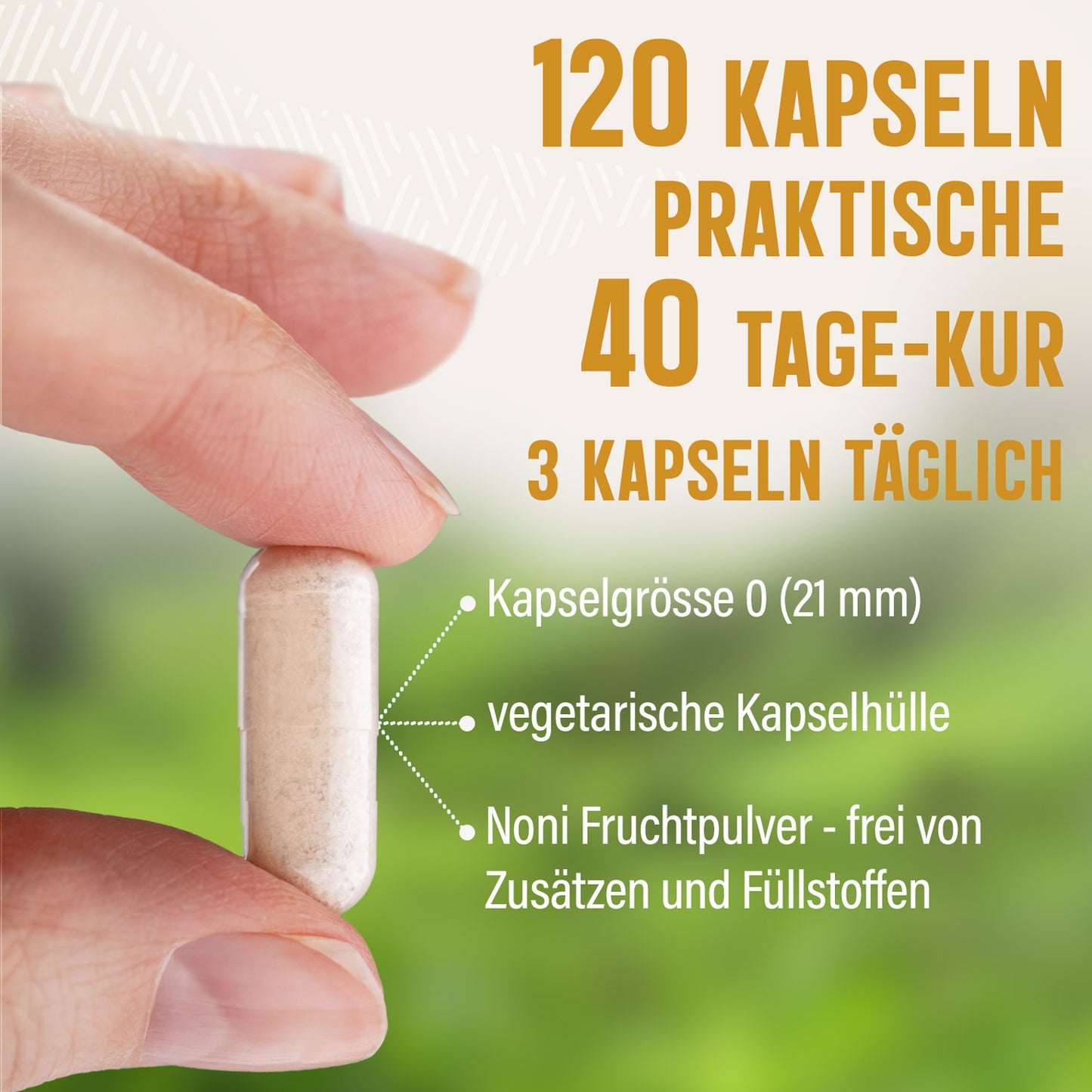 Noni Kapseln - 120 Stück, 1500 mg Tagesportion