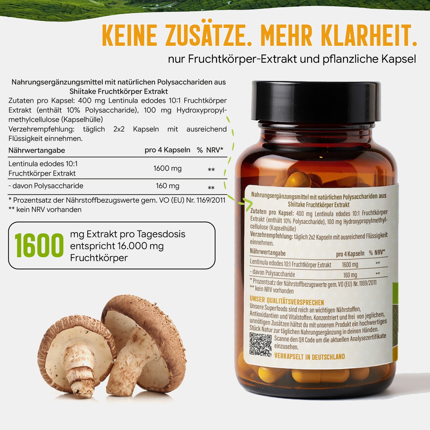 Shiitake Extrakt Kapseln - 120 Stück, 1600 mg Tagesportion