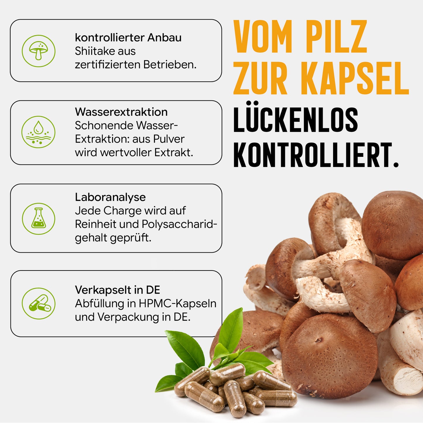 Shiitake Extrakt Kapseln - 120 Stück, 1600 mg Tagesportion